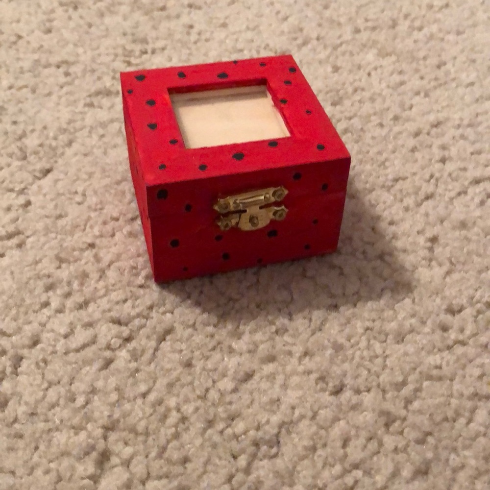 Ladybug pin box